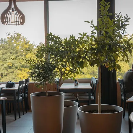 Hotel Mont-des-pins 3*