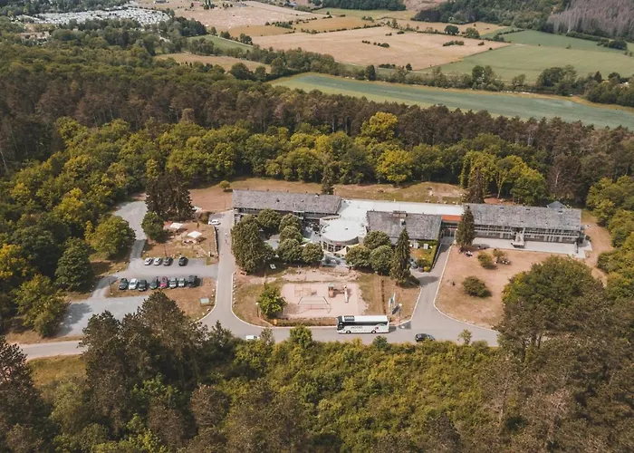 Hotel Mont-des-pins 3*